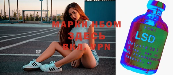 ГАЛЛЮЦИНОГЕННЫЕ ГРИБЫ Покровск