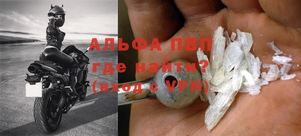 ГАЛЛЮЦИНОГЕННЫЕ ГРИБЫ Покровск