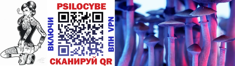 Купить  Тбилисская  Галлюциногенные грибы Cubensis 